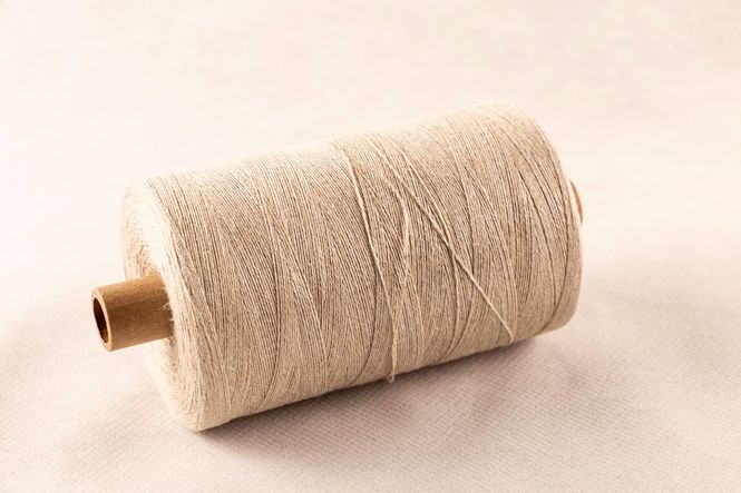 Hovedbilde 28/2 BOCKENS LIN UBLEKET