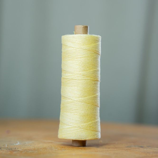 Hovedbilde 16/1 LIN F. 2022